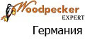 Woodpecker