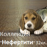 Нефертити