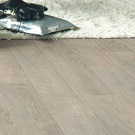 Ламинат KIWI 8 мм 32 кл  Вяз 0107041 Ламинат KIWI 8 мм 32 кл  Вяз 0107041