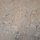 Пробковое покрытие Granorte PB-W Флорес эксклюзив (Flores Exclusive) настенное клеевое Пробковое покрытие Granorte PB-W Флорес эксклюзив (Flores Exclusive) настенное клеевое