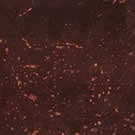 Пробковое покрытие CORKART Обои Corkart PW 386 OT настенное клеевое Пробковое покрытие CORKART Обои Corkart PW 386 OT настенное клеевое